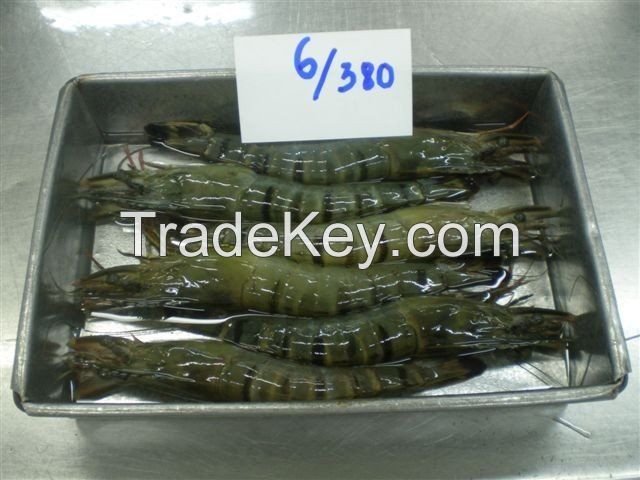 Vannamei white leg shrimp, Blacktiger prawn