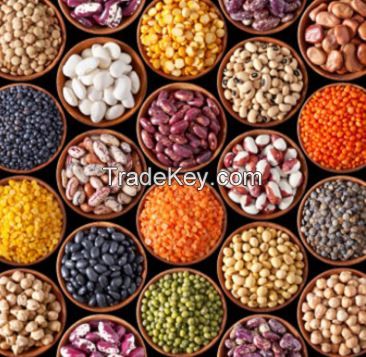 Beans and pulses 