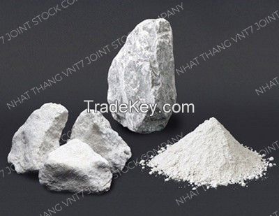 Uncoated or Coated grade Calcium Carbonate CaCO3 Limestone Powder