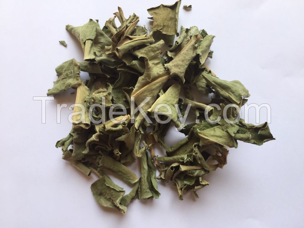 Dried Insulin Plant Leaves or Powder / Costus igneus