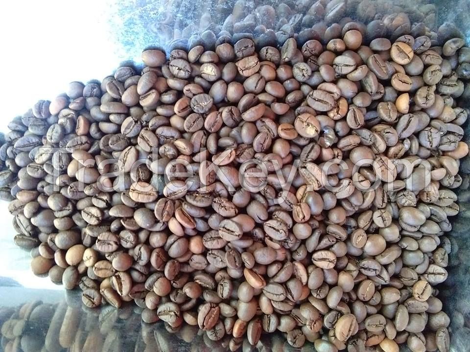 ROBUSTA COFFEE BEAN ROASTED FOR WHOLESALE EXPORT STANDARD