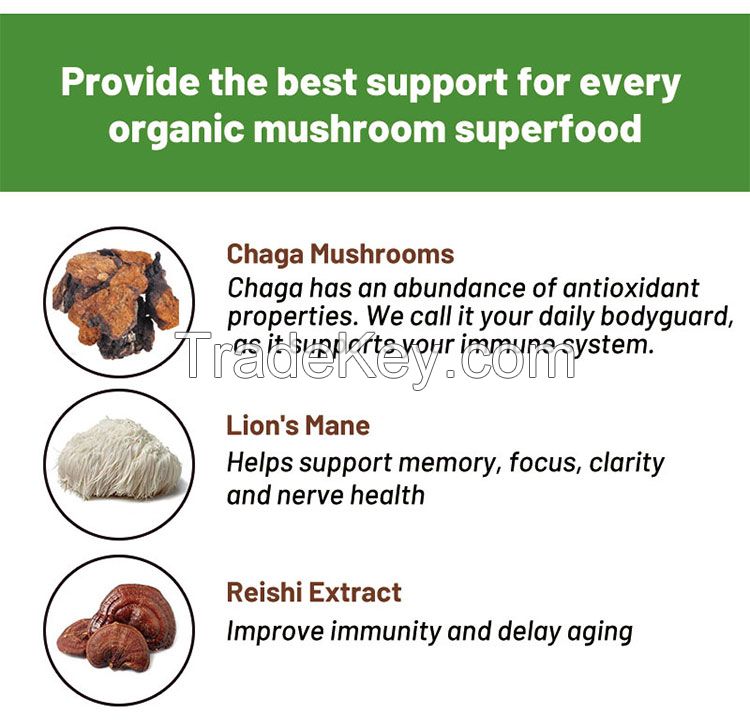 Oem Mushroom coffee private label focus memory instant powder organic healthcare mushroom coffee