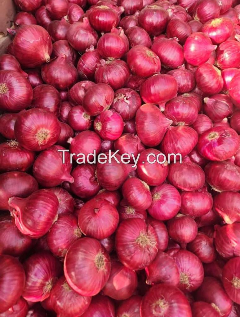 Red Onion