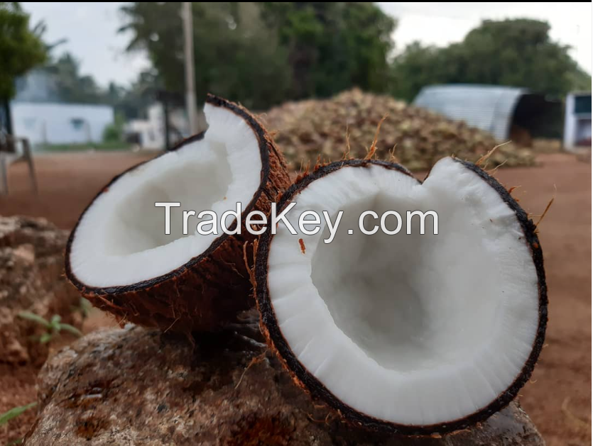Husked Coconut 