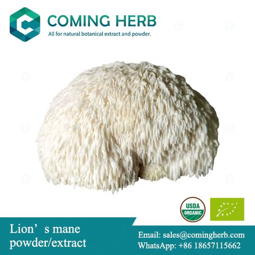 Hericium erinaceus extract, Lion's mane extract, Hericium erinacues powder, Lion's mane powder, Organic Lion's mane extract