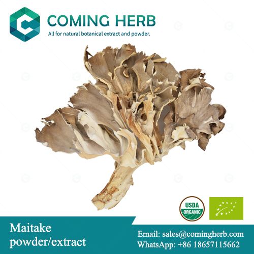 Maitake extract, Maitake powder, Grifola frondosa extract, Organic Maitake extract