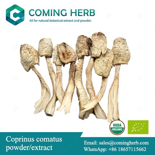 Mushroom extract, Mushroom powder, Agaricus blazei, Auricularia auricula, Coprinus comatus, Flammulina velutipes, Phellinus linteus, Polyporus umbellatus, Poria cocos, Sparassis crispa, Tremella fuc