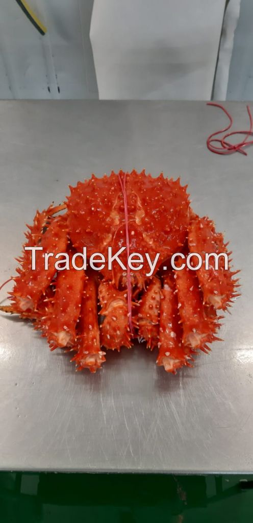 king crab