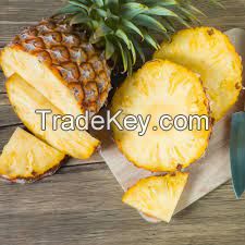 Pineapple, Ananas comosus.