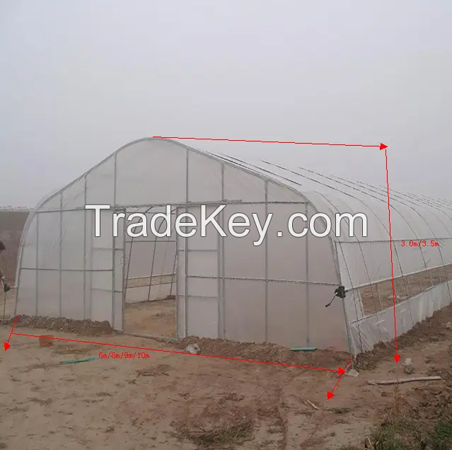 Single-span Plastic Film Greenhouse