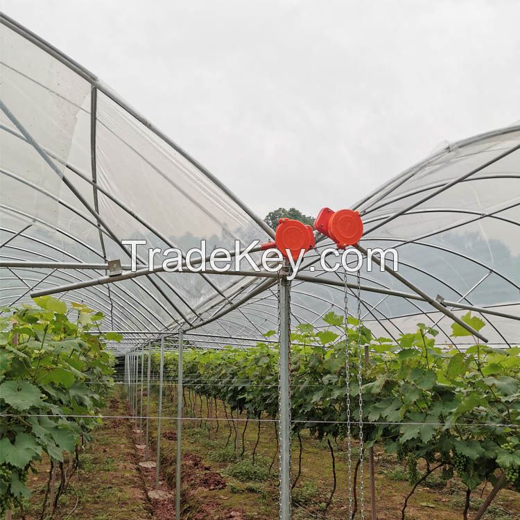 Tunnel Agriculture Green House Tunnel Rain Shelter Greenhouse For Tomato