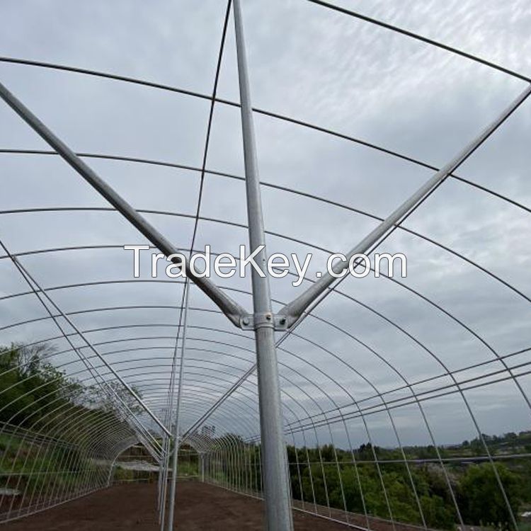 Agriculture multi-span arch plastic film Greenhouse strawberry greenhouse