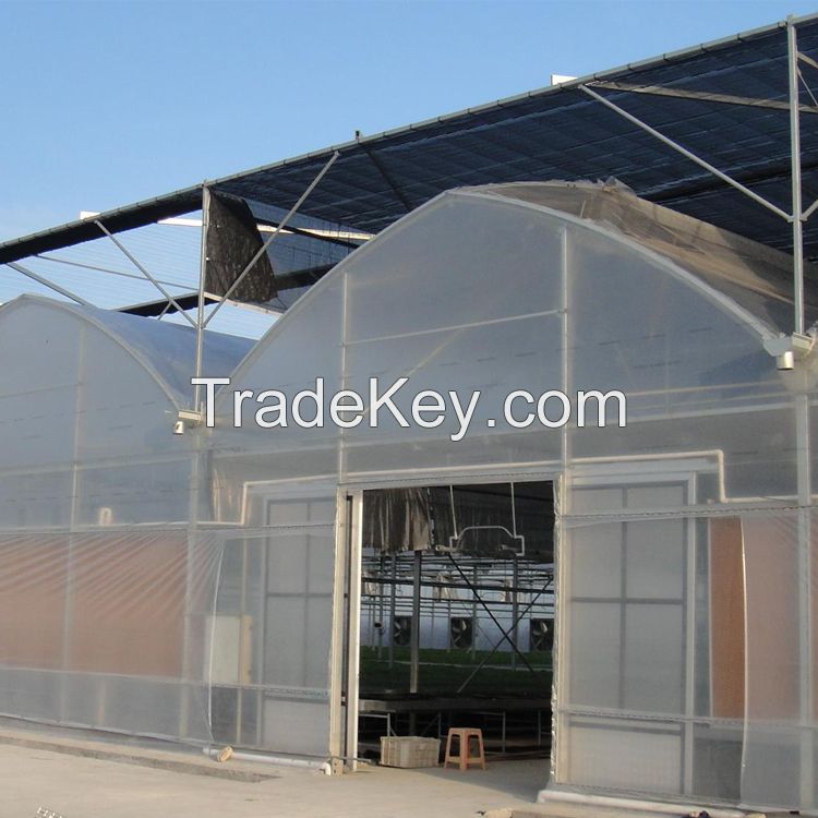 Agriculture multi-span arch plastic film Greenhouse strawberry greenhouse