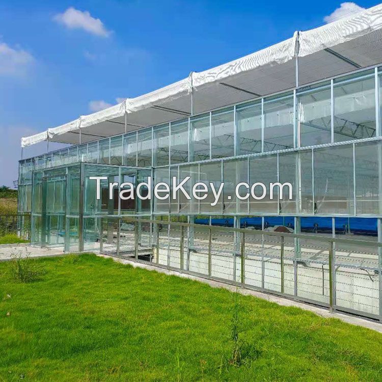 Agricultural Glass Commercial Greenhouse with hydroponic system