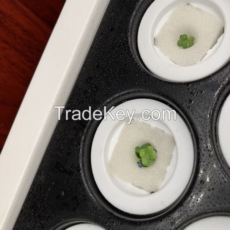 New arrival indoor smart garden hydroponic intelligent vertical farming home hydroponic growing systems