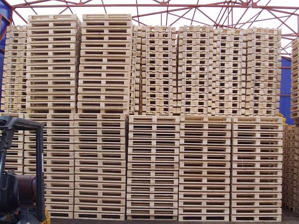 Wooden Pallets 1200 x 800