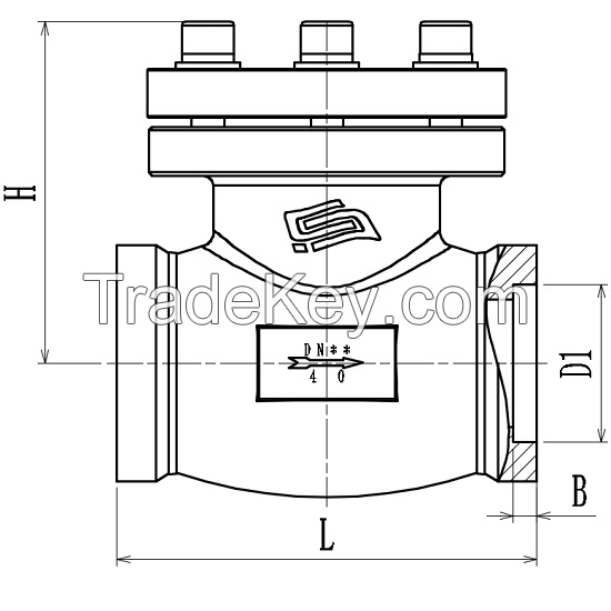 Cryogenic Check Valve