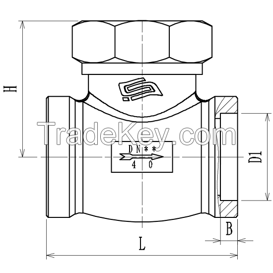 Cryogenic Check Valve