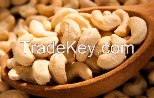 Premium Quality Cashew Nuts