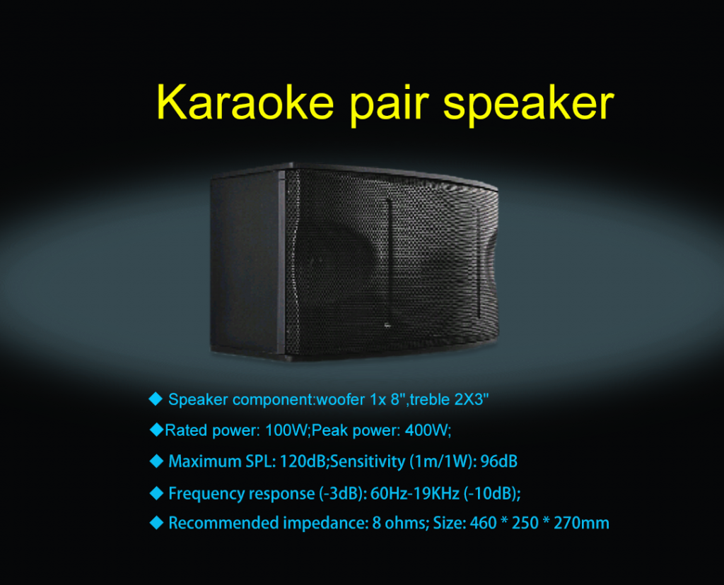pro karaoke speaker PK-80(1*8&quot; 100W)