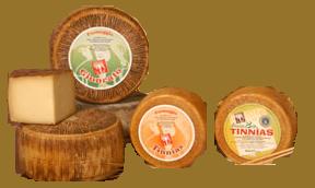 Best Typical Italian Cheese & Dairy from Sheep's Milk
