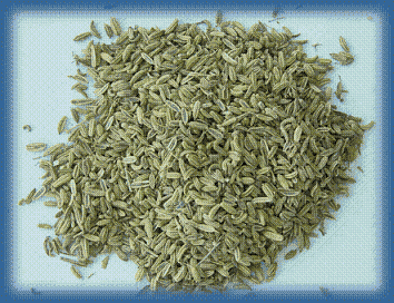 Quality Fennel seeds