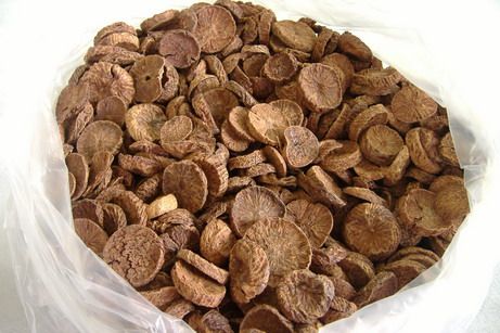 Quality Betel Nuts, Betel Nuts in Shells, Betel Nuts  Whole Dried 70% - 75%