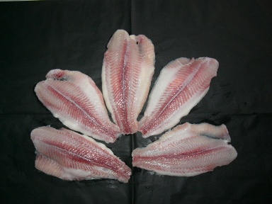 frozen fish, pengasius, pikeperch