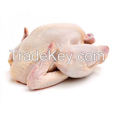 Frozen Chicken For Sale,Buy Frozen Chicken, Best Price Frozen Chicken, Wholesale Frozen Chicken