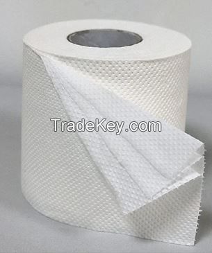 Toilet Paper Rolls