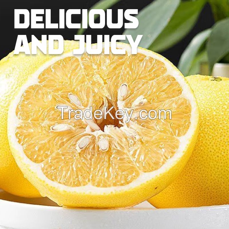 Hainan grapefruit season fresh red grapefruit supplement folic acid pregnant fruit