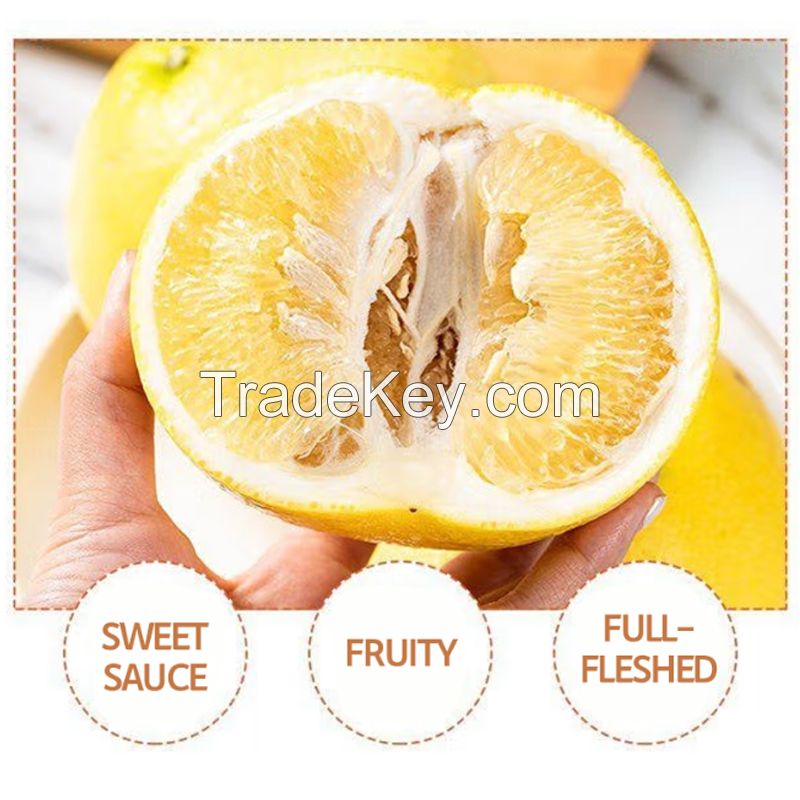 Hainan grapefruit season fresh red grapefruit supplement folic acid pregnant fruit