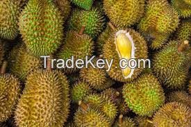 fresh durian - frozen durian - dried durian