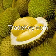 fresh durian - frozen durian - dried durian