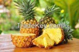 Fresh pineapple - dried pineapple