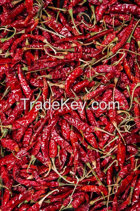 Red Chilli