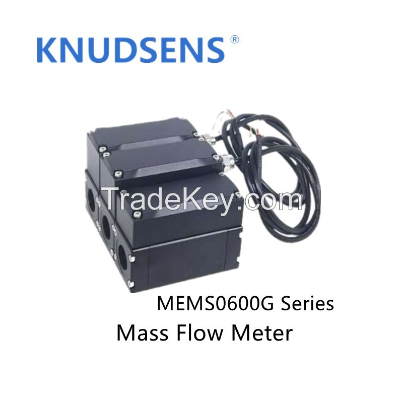 MEMS0600G Series Oil & Gas Flow Meter