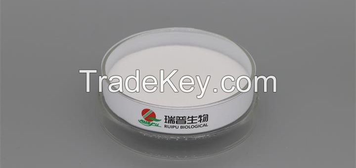 Potassium Chloride Factory