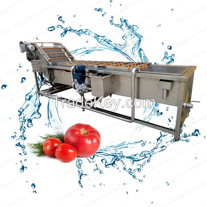 Industrial tomato washing drying machine from Elva