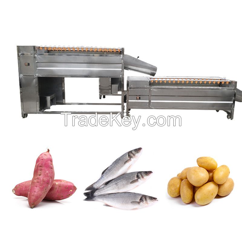 continuous brush type potato washing peeling machine with auto discharge 