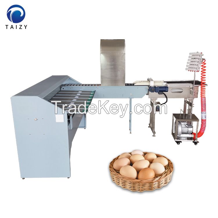 chicken egg sorting grading machine for sale