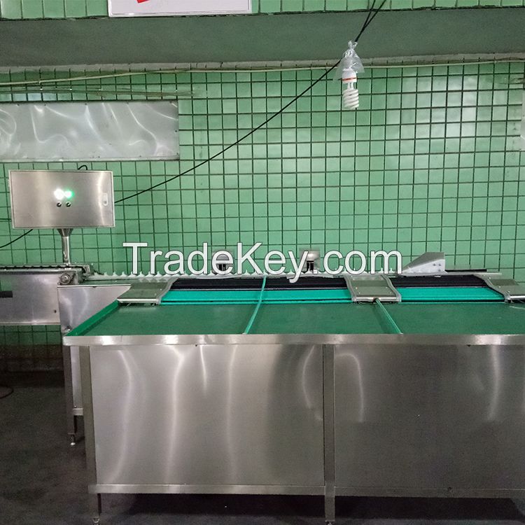 Industrial Automatic Egg Grading Machine