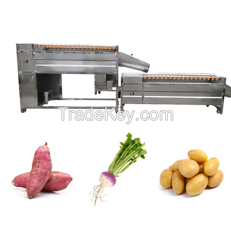 1-2T/H Brush Type Root Vegetable Washing Machine Carrot Washer Machine