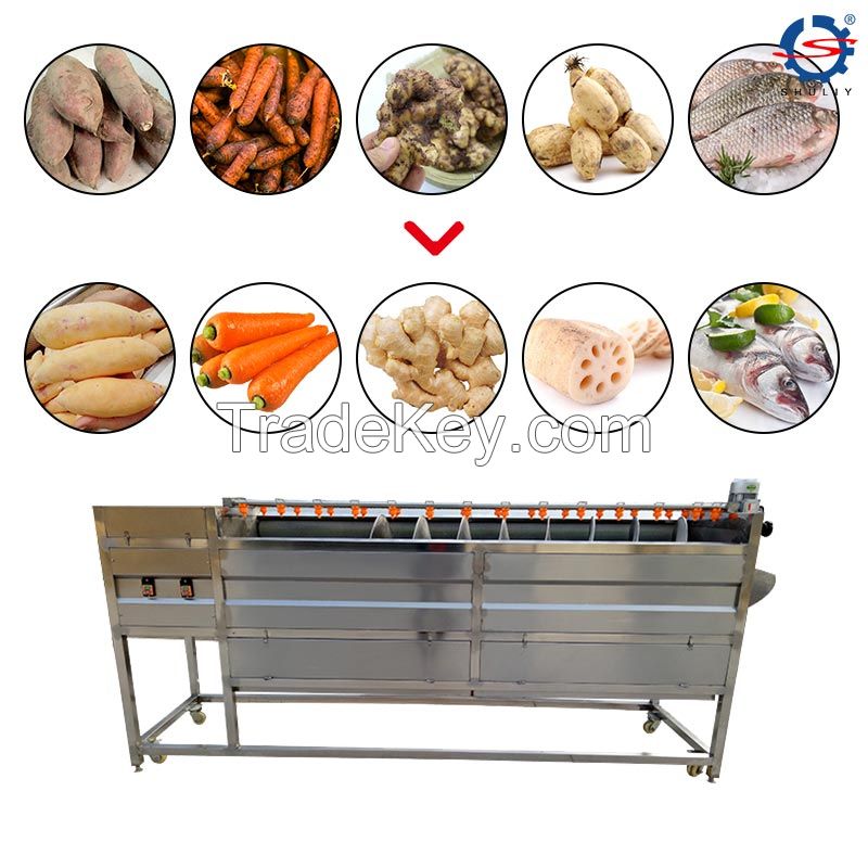 1-2T/H Brush Type Root Vegetable Washing Machine Carrot Washer Machine