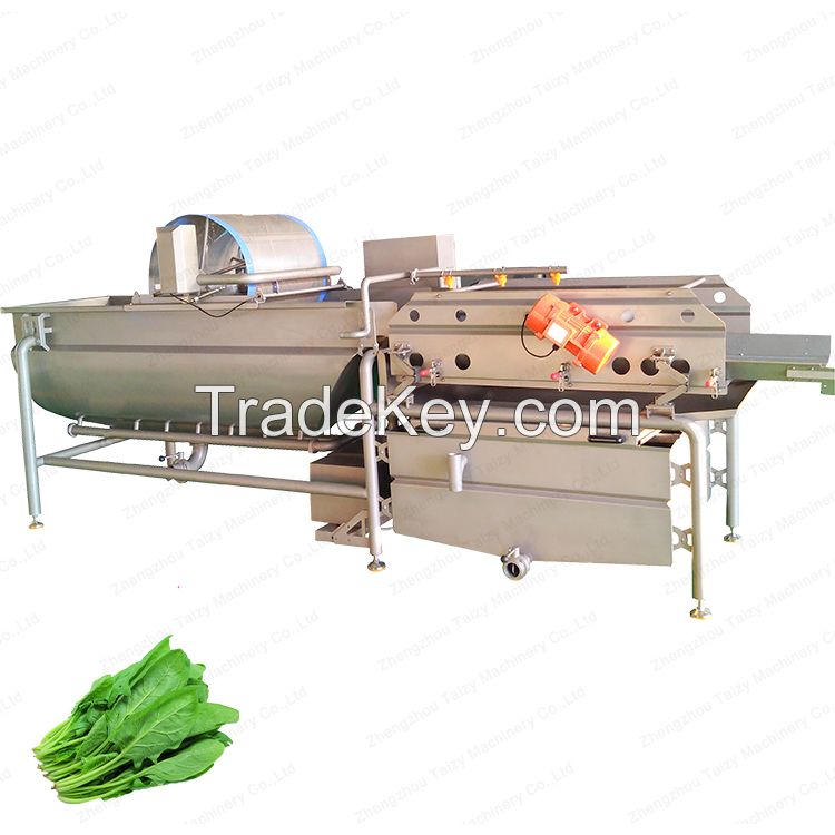 Catering clean vegetable processing equipment cabbage washing machine