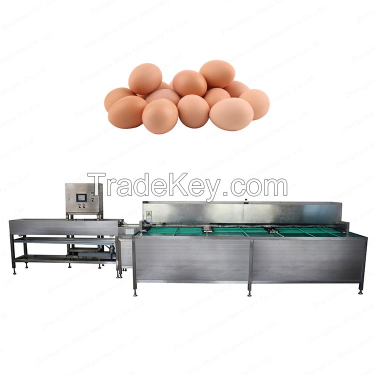 Industrial Automatic Egg Grading Machine