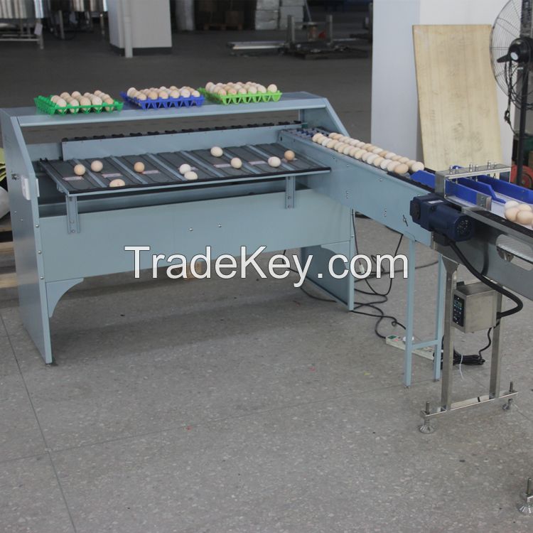 Automatic Egg Classify Grading Grader Egg Sorter Weigh Machine