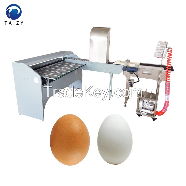https://imgusr.tradekey.com/p-13639549-20230816083405/chicken-egg-sorting-grading-machine-for-sale.jpg