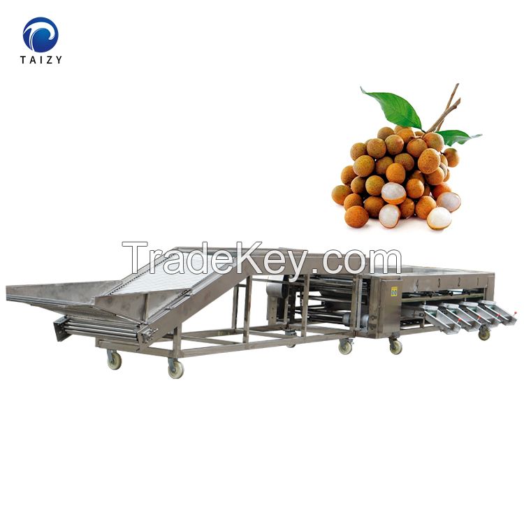 Most Popular High Efficiency Potato Fruit Sorting Machine