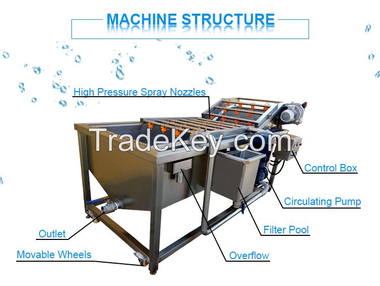 Vegetable And Fruit Bubble Cleaning Drying Machine Cucumber Lettuce Carrot Apple Tomato Sweet Potato Strawberry Washing Machine